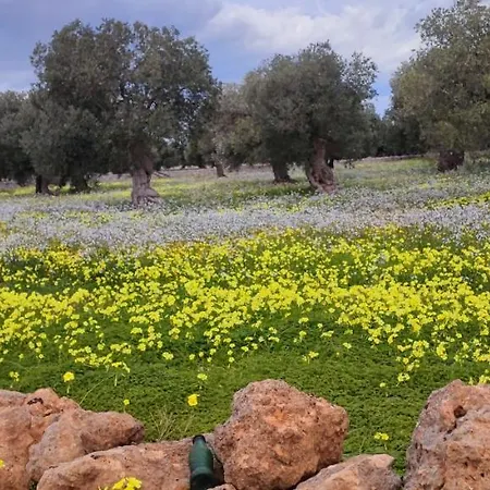 Masseria Verbena Apartment Monopoli