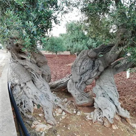 Apartamento Masseria Verbena *